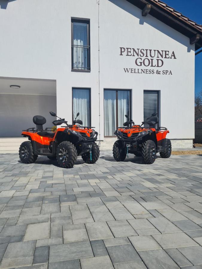 Pensiunea Gold Wellness&Spa Chiscau Buitenkant foto