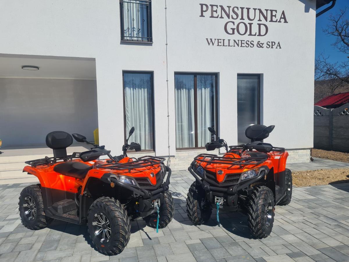 Pensiunea Gold Wellness&Spa Chiscau Buitenkant foto